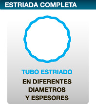 columna estriada